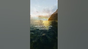 سورة غافر || بصوت الشيخ ياسر الدوسري 😴🤎