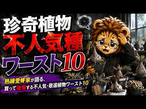 あなたは大丈夫？植物ホーダー危険なサイン10個診断チェックリスト