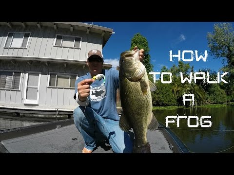 Catch 3X More Bass On Frogs By Avoid These Mistakes