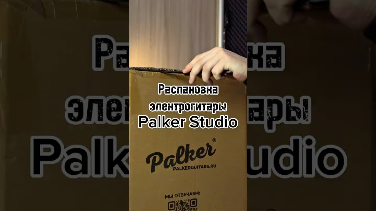Распаковка электрогитары Palker Studio! Создана для мощных риффов? 🎸
