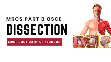 Sample Interactive Lecture for MRCS Part B OSCE: Anatomy Dissection