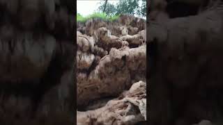 عين صحلنوت، صلالة، عمان، Shalnoot water spring, Salalah, Oman