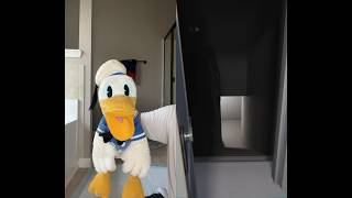 Donald Ducc Just Wanted To Go Down Stairs