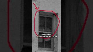 Alkatraz Qamoqxonasi