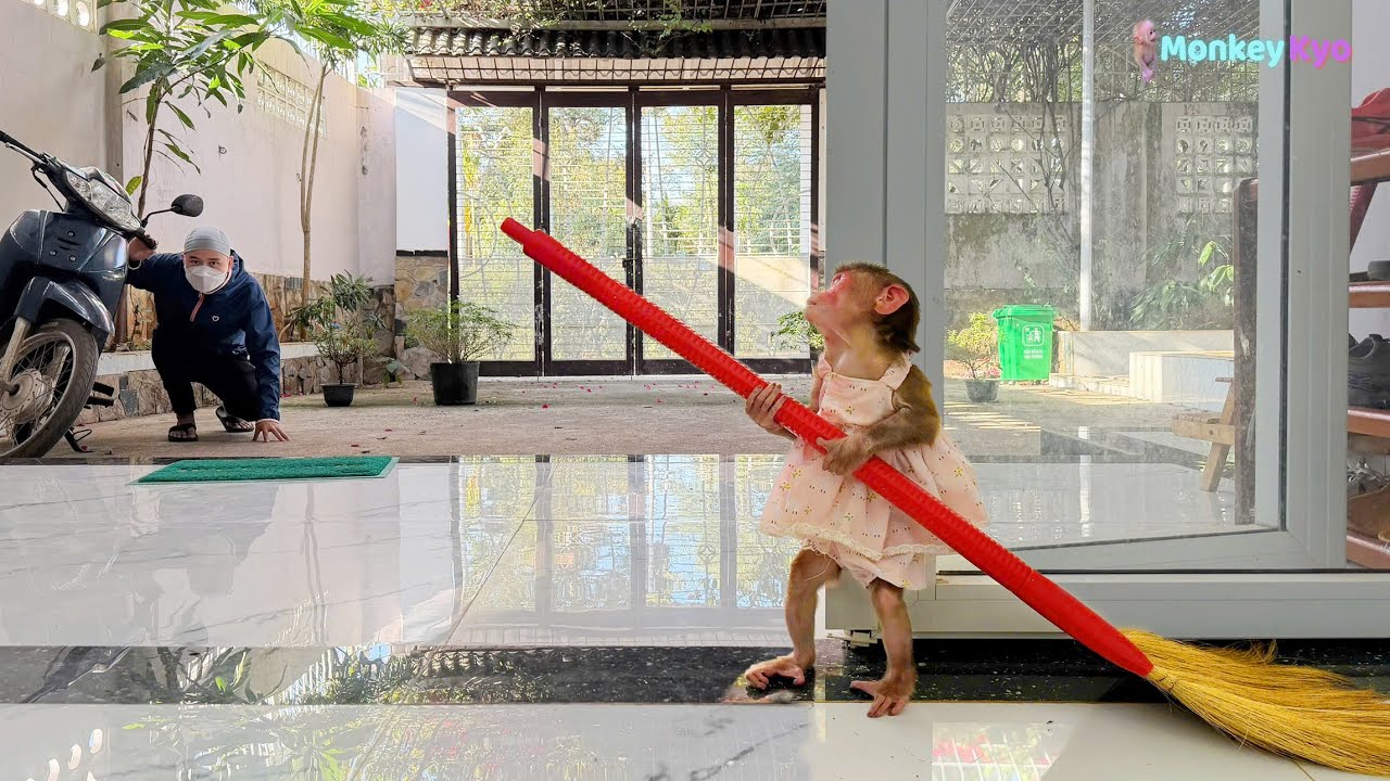 Oh No! A thief broke into the house 😳 Kyo’s smart reaction saved the day!