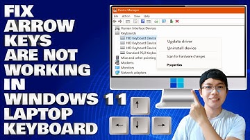 How To Fix Arrow Keys Are Not Working in Windows 11/10 Laptop Keyboard