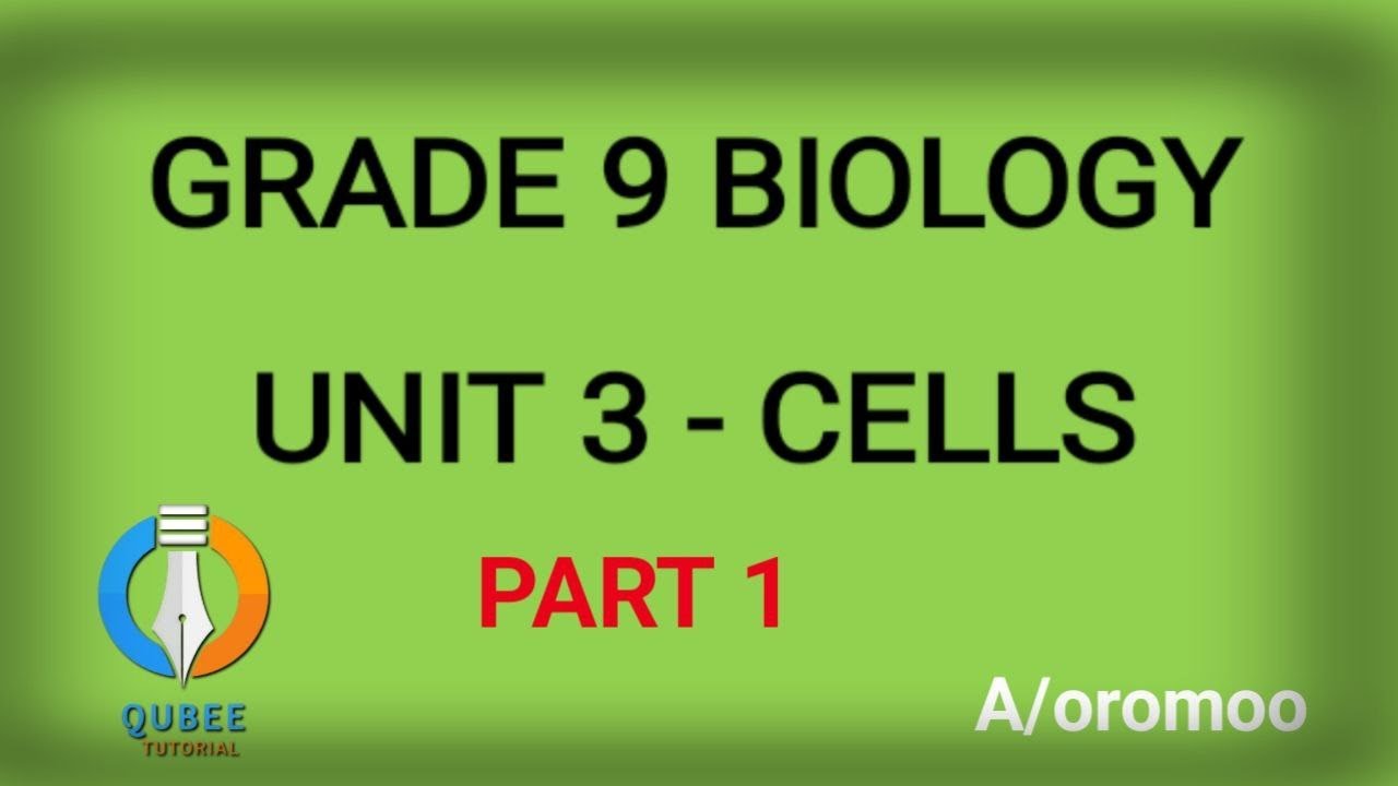 GRADE 9 BIOLOGY UNIT 3 PART 1 ,Afaan oromoo - YouTube