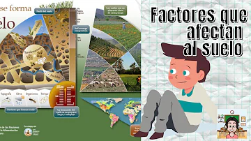 ¿Cuáles son los 5 factores que pueden afectar al desarrollo del suelo?