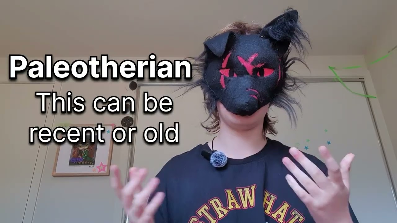 Different identities in the alterhuman community 