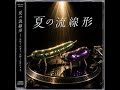 夏の流線形