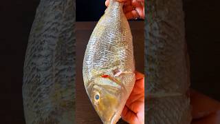 Cooking a HUGE Fish Fry Like Never Before 😳😋 #shorts #asmr #shortsfeed #fish