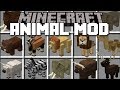 Minecraft LOTS OF ANIMALS MOD / HELP MARK SPAWN HIS JUNGLE VILLAGE ANIMALS!! Minecraft