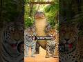Animals that ate hundreds of people #shorts