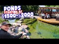 YOU Could Have a *POND* for Under $2000!!