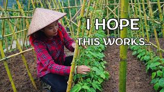 Bölüm 18 | Fasulye İçin Destek Yapımı | Terk Edilmiş Evimde Hayat