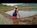 Best Fishing Video | The Girl Fishing In The Rice Field | Hook Fishing