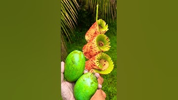 next level mango pickle 🥭 #subscribe #viral #youtubeshorts #shorts #mango