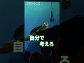 【タートルトーク】初めてのボーナスで親孝行したいです！【ディズニー】 #shorts