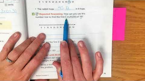 3rd Grade Module 3 Lesson 2