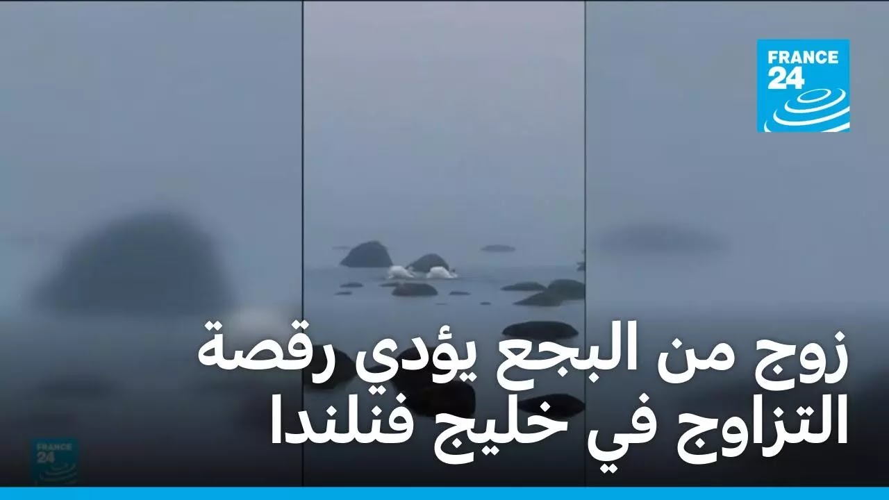 ��� �� ����� ���� ���� ������� �� ���� ������ � ����� 24
 - نشر قبل 7 دقيقة