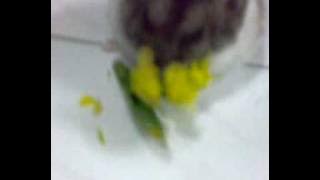 12022009048
