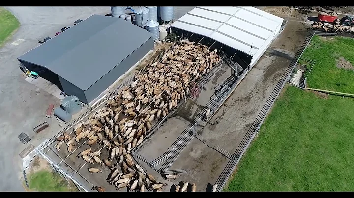 We need IMMEDIATE action to stop extinction crisis, David Attenborough   BBC@BBC