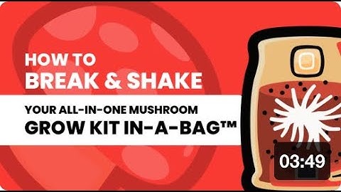 6: Mastering the Break and Shake Technique for Mushroom Grow Kits