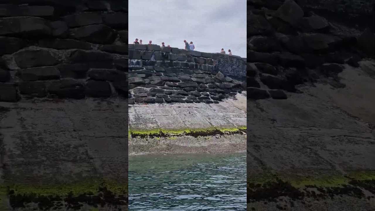 New Quay, Cardigan Bay