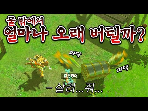 야숨 물고기는 물 밖에서 얼마나 오래 버틸까? (젤다의 전설 야생의 숨결)