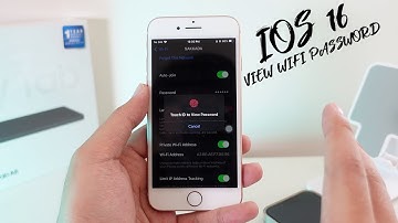 How to view wifi password on iOS 16