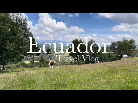 #26 Echoes of Home: From Heartfelt Memories to Homesickness VLOG