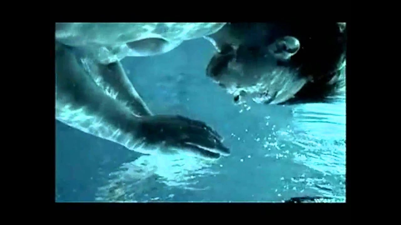 U Blue Adolfo Dominguez - YouTube