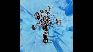 Ed sheeran Supermarket flowers