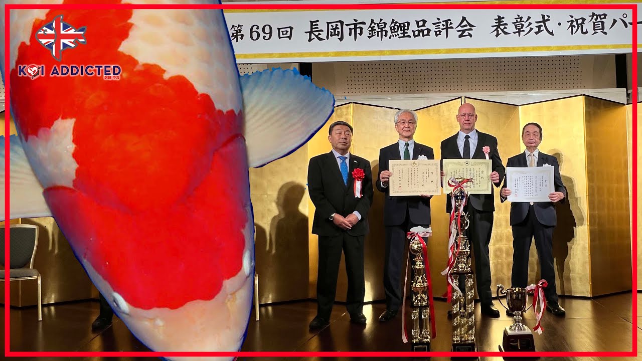 Nagaoka Koi Show: een korte rondleiding in 42 minuten | Top Koi in de bergen van Yamakoshi