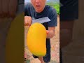 চাইনার সব থেকে বড় আম ওয়াও🤩🤩😍🥰