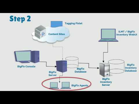 Automatic license counting with the LCP tool