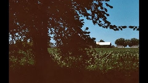 Tape Sounds - Fall Dorm Recording (FULL CASSETTE ALBUM - 2012 - Carpi Records - Lo-Fi/Experimental)