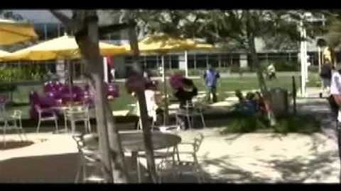 Week 7 - The Google Culture