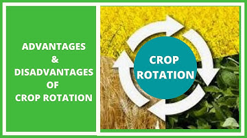 Crop Rotation: What are the advantages and disadvantages of crop rotation?