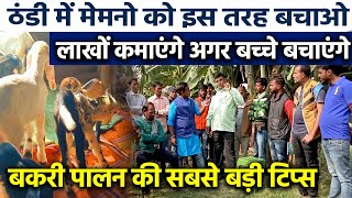 अपने Goat Farm🐐🐐 पर ठंडे में मेमनों का सुरक्षा कवच बनाकर लाखों के नुकसान से बचे🐐Goat Farming Tips