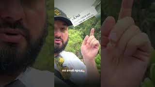 Как открыть крипто обменник в Испании #внж #крипта #испания #работа #криптообменник #бизнес
