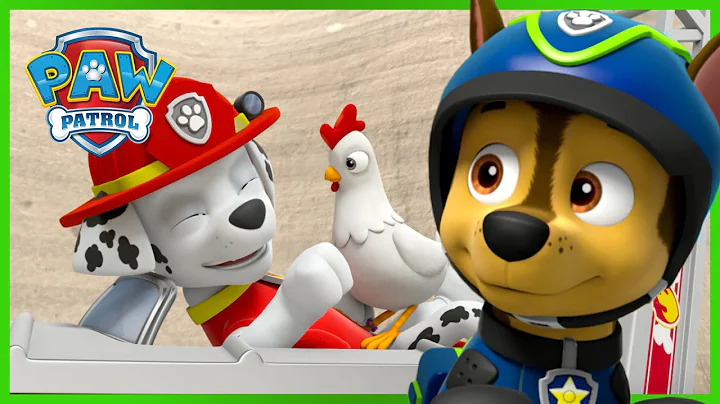 Chase & Marshall Save Chickaletta 🐓- PAW Patrol Rescue Episode - Cartoons for Kids!