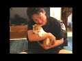 レトリバーまるの初めてのお手があの人だった!