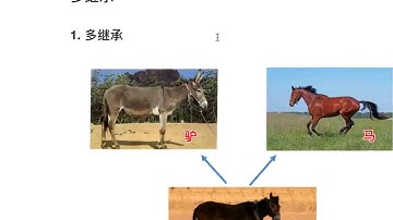 [02python语法基础]-[面向对象2]-10 多继承