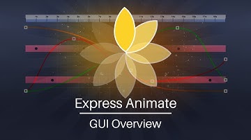 Express Animate Tutorial | GUI Overview