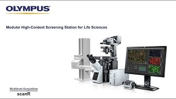 scanR High-Content Screening Station: Multilevel Acquisition