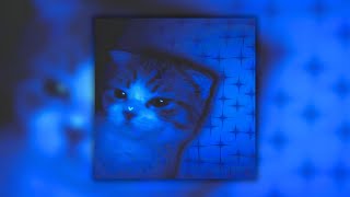 spelox - CHIPI CHIPI CHAPA CHAPA