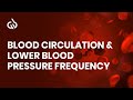 Blood Circulation, Purification & Cleansing | Lower Blood Pressure, Binaural Beats | Deep Healing