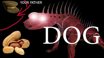 The Worstiest SCP Secret Laboratory Guide You