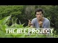 Avocado toast, Filipino honey and the importance of bees - Landscapes Episode 4